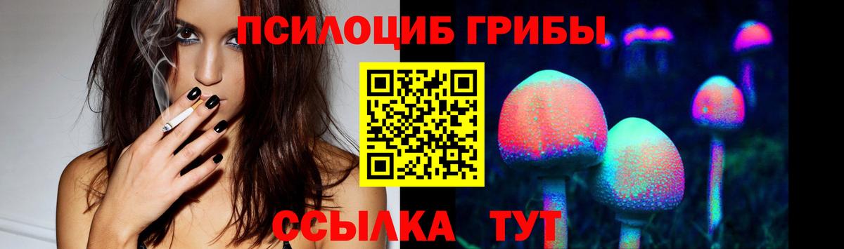Малоярославец  Галлюциногенные грибы Psilocybe  Вход с VPN 