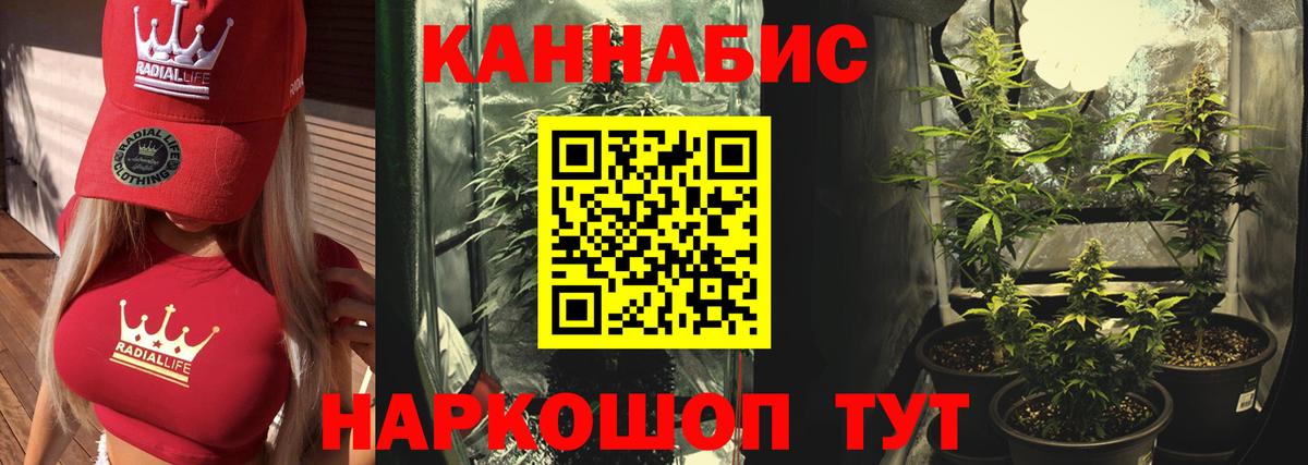 МАРИХУАНА марихуана  Шишки марихуана индика  Шишки марихуана конопля  Малоярославец  Вход с VPN 
